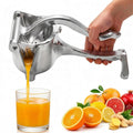 Hand Press Juicer